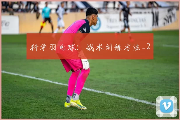 科学羽毛球：战术训练方法_2