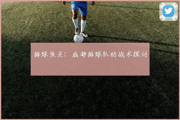 排球焦点：成都排球队的战术探讨