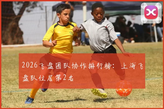 2026飞盘团队协作排行榜：上海飞盘队位居第2名
