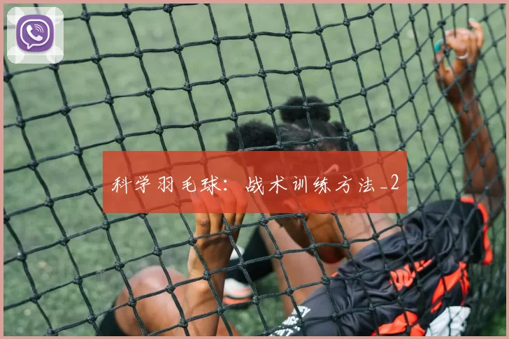 科学羽毛球：战术训练方法_2