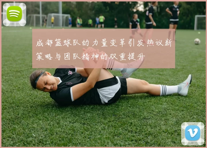 成都篮球队的力量变革引发热议新策略与团队精神的双重提升