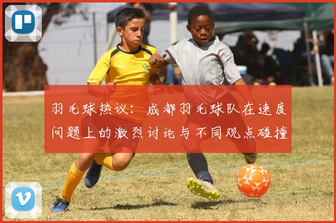 羽毛球热议：成都羽毛球队在速度问题上的激烈讨论与不同观点碰撞